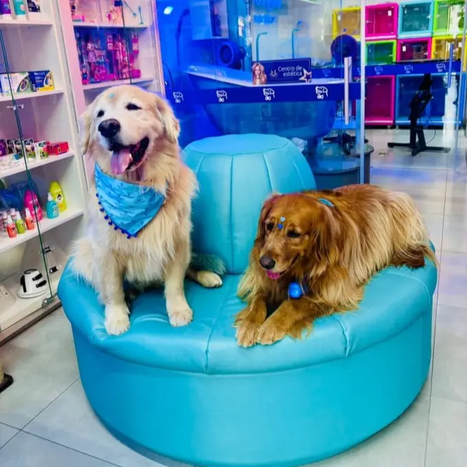 Pet lovers dog store